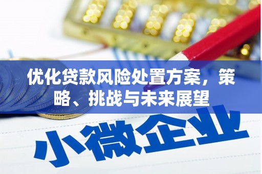 东至优化贷款风险处置方案，策略、挑战与未来展望