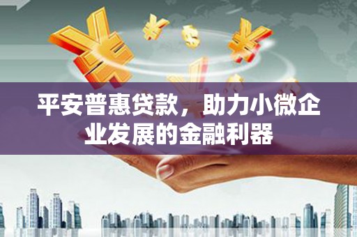 东至平安普惠贷款，助力小微企业发展的金融利器