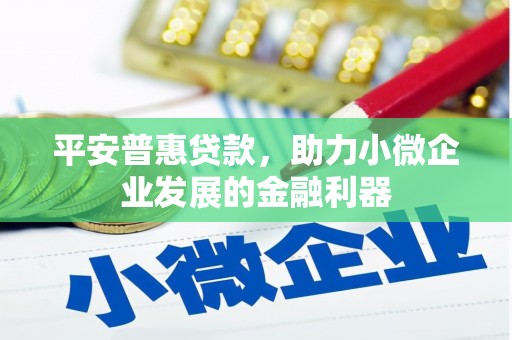 东至平安普惠贷款，助力小微企业发展的金融利器