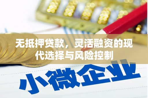 东至无抵押贷款，灵活融资的现代选择与风险控制