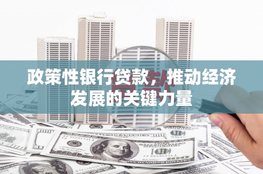东至政策性银行贷款，推动经济发展的关键力量