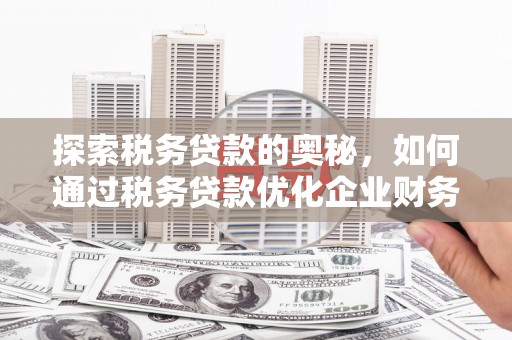 东至探索税务贷款的奥秘，如何通过税务贷款优化企业财务