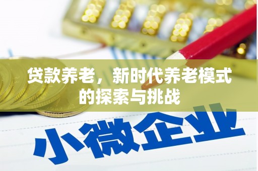 东至贷款养老，新时代养老模式的探索与挑战
