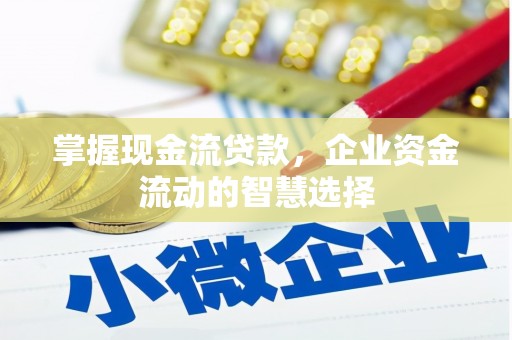 东至掌握现金流贷款，企业资金流动的智慧选择