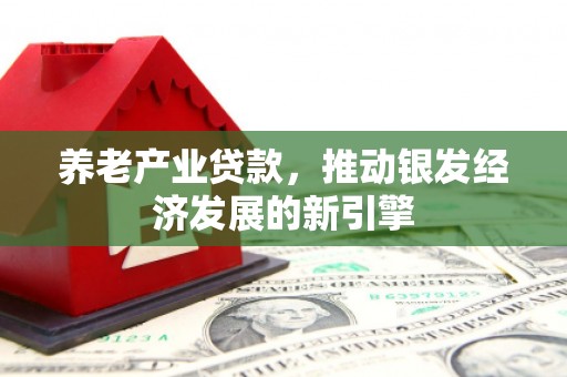 东至养老产业贷款，推动银发经济发展的新引擎