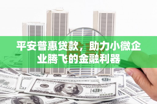 东至平安普惠贷款，助力小微企业腾飞的金融利器