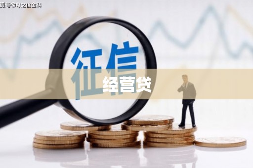 东至经营贷