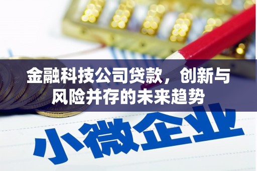 东至金融科技公司贷款，创新与风险并存的未来趋势