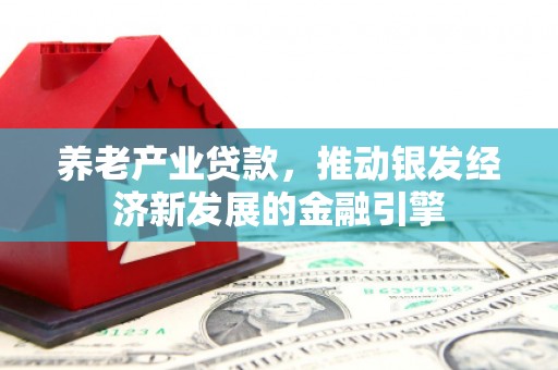 东至养老产业贷款，推动银发经济新发展的金融引擎