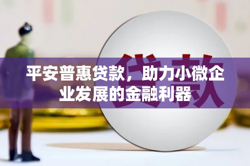 东至平安普惠贷款，助力小微企业发展的金融利器