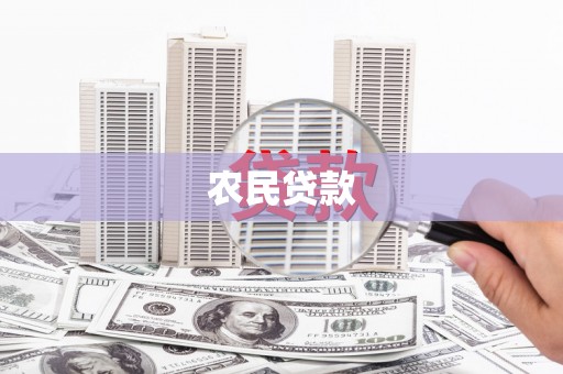 东至农民贷款