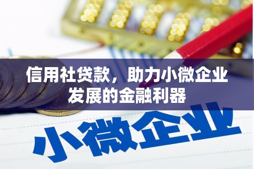 东至信用社贷款，助力小微企业发展的金融利器