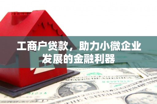 东至工商户贷款，助力小微企业发展的金融利器