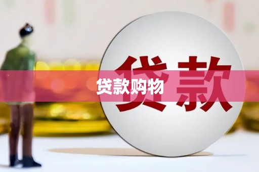 东至贷款购物