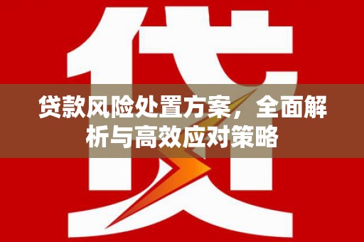 东至贷款风险处置方案，全面解析与高效应对策略