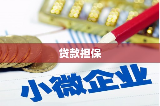 东至贷款担保