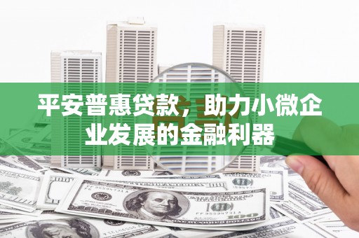 东至平安普惠贷款，助力小微企业发展的金融利器