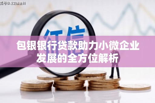 东至包银银行贷款助力小微企业发展的全方位解析