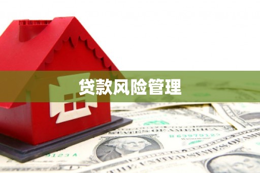 东至贷款风险管理