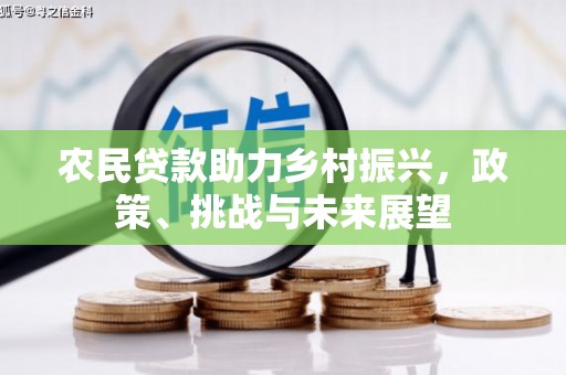东至农民贷款助力乡村振兴，政策、挑战与未来展望
