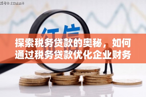 东至探索税务贷款的奥秘，如何通过税务贷款优化企业财务