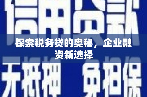 东至探索税务贷的奥秘，企业融资新选择