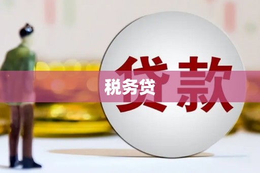 东至税务贷