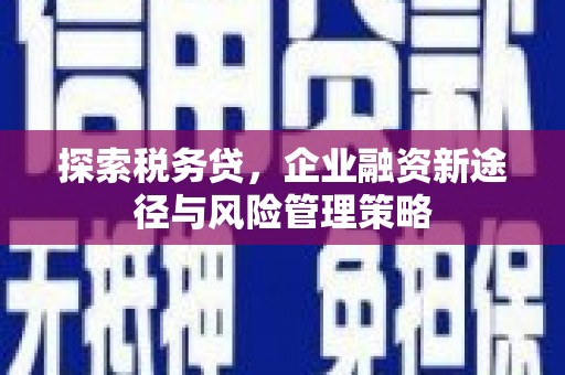 东至探索税务贷，企业融资新途径与风险管理策略