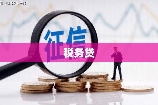 东至税务贷