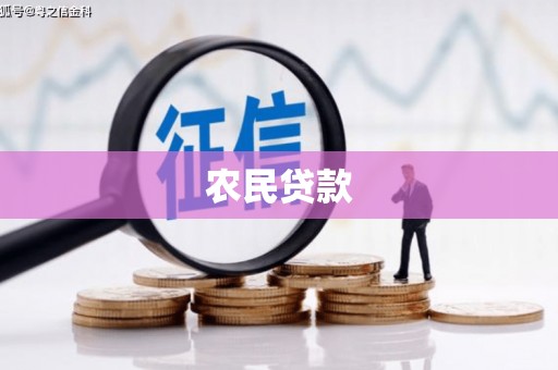 东至农民贷款
