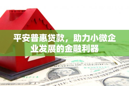 东至平安普惠贷款，助力小微企业发展的金融利器