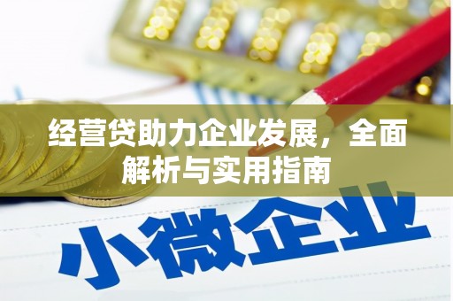 东至经营贷助力企业发展，全面解析与实用指南