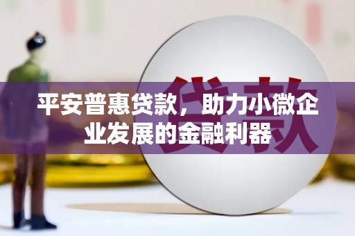 东至平安普惠贷款，助力小微企业发展的金融利器