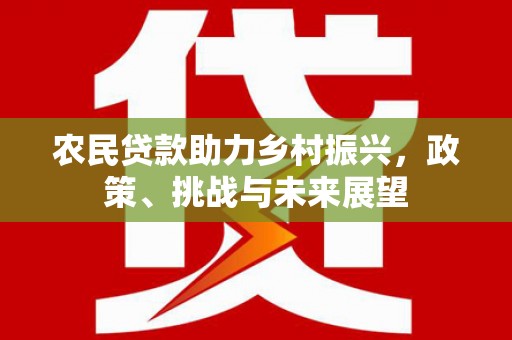 东至农民贷款助力乡村振兴，政策、挑战与未来展望
