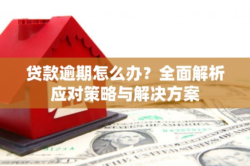 东至贷款逾期怎么办？全面解析应对策略与解决方案
