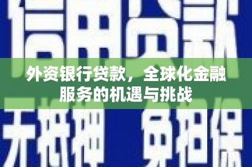 东至外资银行贷款，全球化金融服务的机遇与挑战