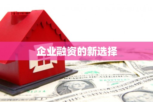 东至企业融资的新选择