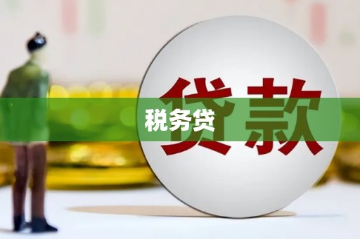 东至税务贷