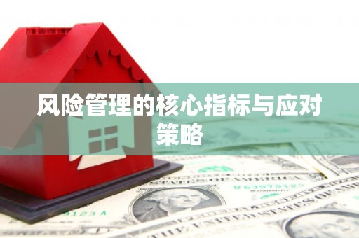 东至风险管理的核心指标与应对策略