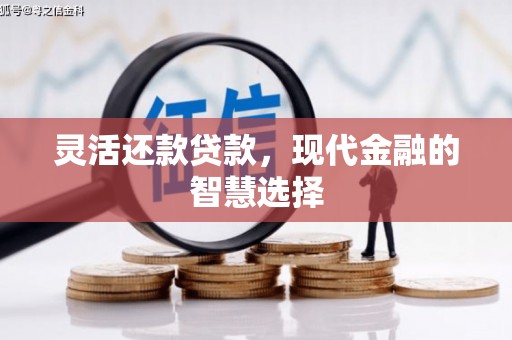 东至灵活还款贷款，现代金融的智慧选择