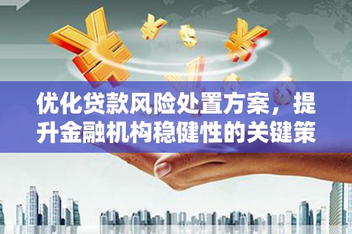 东至优化贷款风险处置方案，提升金融机构稳健性的关键策略