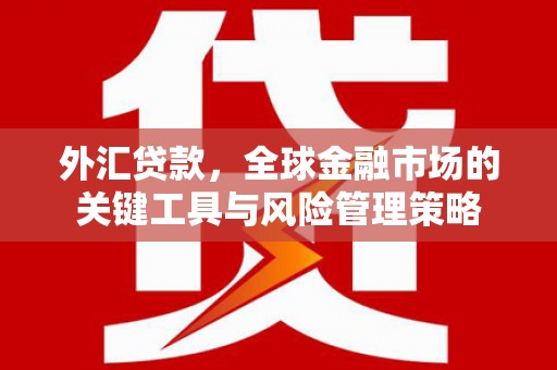 东至外汇贷款，全球金融市场的关键工具与风险管理策略