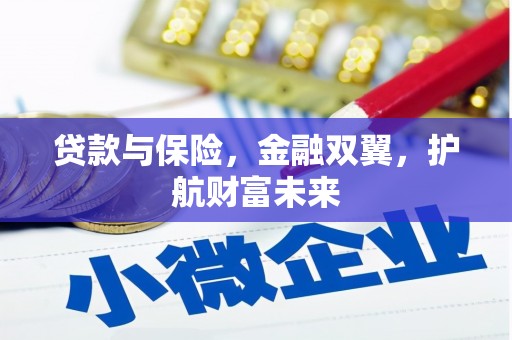 东至贷款与保险，金融双翼，护航财富未来