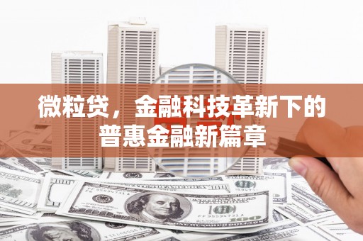 东至微粒贷，金融科技革新下的普惠金融新篇章