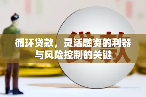 东至循环贷款，灵活融资的利器与风险控制的关键