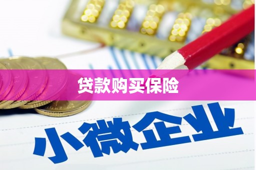 东至贷款购买保险