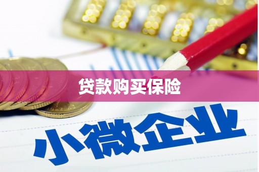 东至贷款购买保险