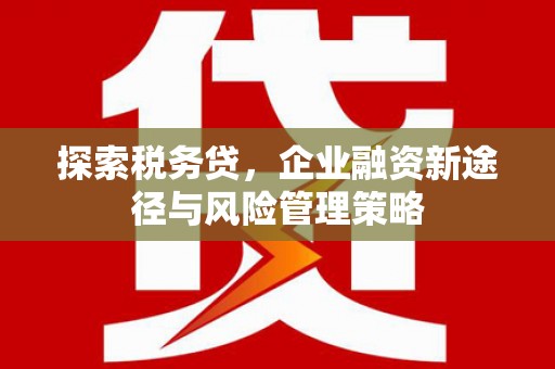 东至探索税务贷，企业融资新途径与风险管理策略