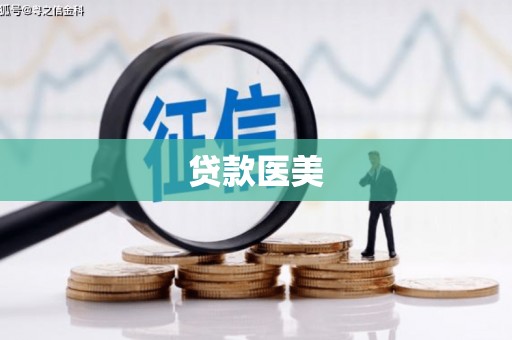 东至贷款医美