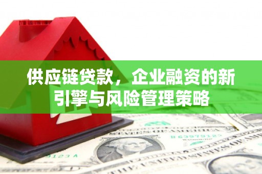 东至供应链贷款，企业融资的新引擎与风险管理策略